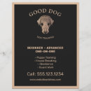 Search for pet sitting marketing materials Veterinary