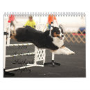 Search for dog agility gifts Sports