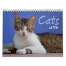 Search for cat calendars Kitty
