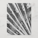 Search for dollar bills Photography