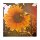 Search for sunflower kitchen tiles Garden