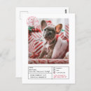 Search for naughty postcards Nice