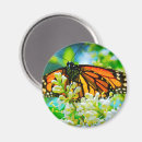Search for circle photo magnets Colorful