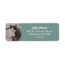 Search for duck return address labels White