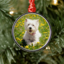 Search for westie ornaments West highland white terrier