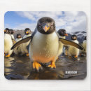 Search for bird mousepads Nature