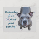 Search for pitbull birthday cards Animals