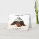 Search for dachshund get well cards Puppy