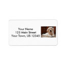 Search for dog labels Puppy