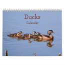 Search for duck calendars Mallards