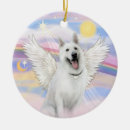 Search for white german shepherd Pets