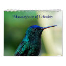 Search for hummingbird calendars Birds