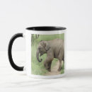 Search for elephant mugs National park