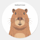 Search for capybara gifts Animal