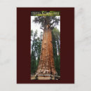 Search for giant postcards Wildlife