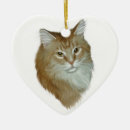Search for tabby cat ornaments Maine