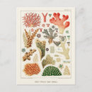 Search for great barrier reef postcards Vintage