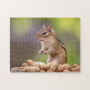 Search for chipmunk gifts Animal