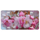 Search for cherry blossom license plates Flowers