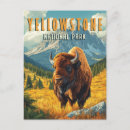 Search for yellowstone postcards Bison