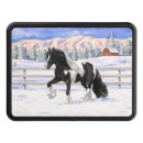 Search for gypsy vanner horse Irish cob