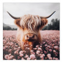 Search for scottish highland cow decor Vintage