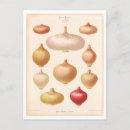 Search for seed postcards Catalog