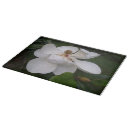 Search for magnolia gifts Flower