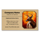 Search for whitetail deer business cards White tailed deer