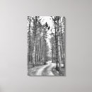 Search for black and white tree canvas prints Woodland