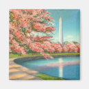 Search for washington dc magnets Cherry blossoms