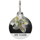 Search for the lily pet tags For pets