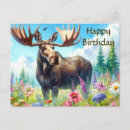 Search for happy birthday wildflowers postcards Nature