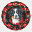 Search for bernese mountain dog stickers Animal
