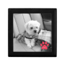 Search for pet memorial gift boxes Dog