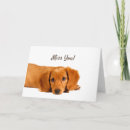 Search for sad miss you puppy postcards Animals