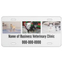 Search for photo license plates Cat