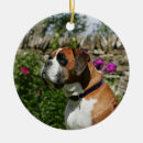 Search for boxer dog ornaments Canine photographer