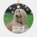 Search for greyhound dog ornaments Pet