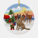 Search for belgian malinois ornaments Dogs
