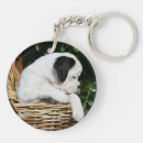 Search for boxer keychains Puppies
