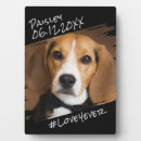 Search for pet memorial plaques Trendy
