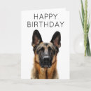Search for german birthday cards Dog