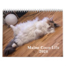 Search for maine calendars Cat lover