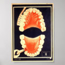 Search for brush your teeth posters Mouth