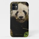 Search for panda iphone cases fauna