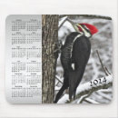Search for bird mousepads wildlife