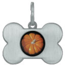 Search for pumpkin pet tags Thanksgiving