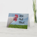Search for funny chicken birthday cards Silly