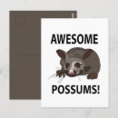 Search for possum birthday cards Awesome